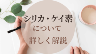 シリカケイ素の解説