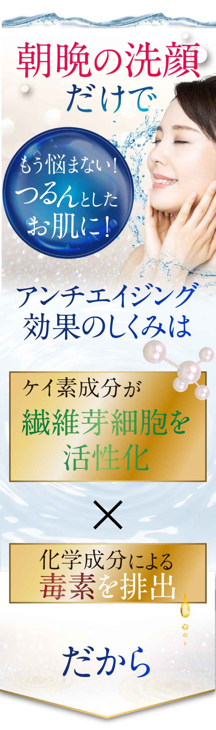ケイ素成分が繊維芽細胞を活性化