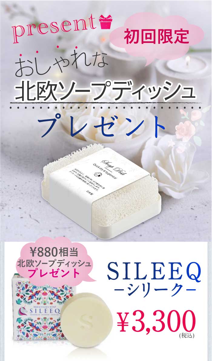 シリーク石鹸性用北欧ソープディッシュ